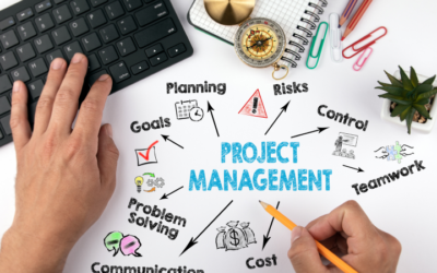 Projektmanagement: organisierte Komplexität