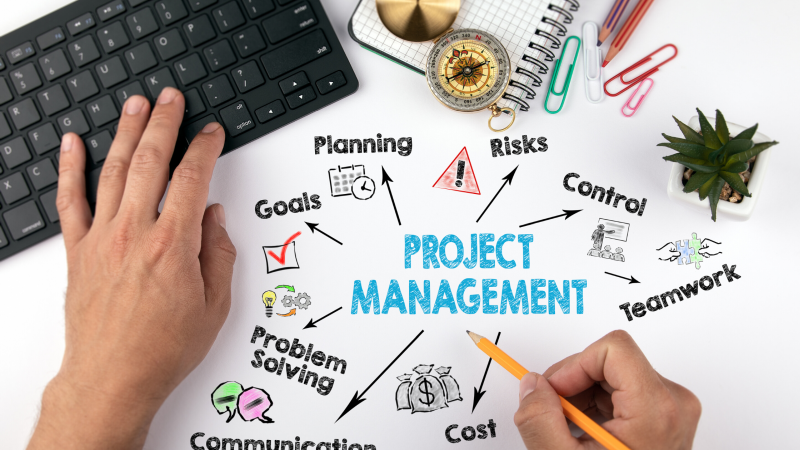 Projektmanagement: organisierte Komplexität